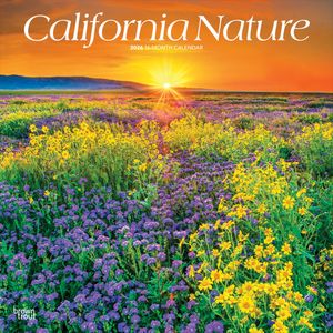 California Nature 2026 12 X 24 Inch (Hanging) Monthly Square Wall Calendar Plastic-Free image number 0