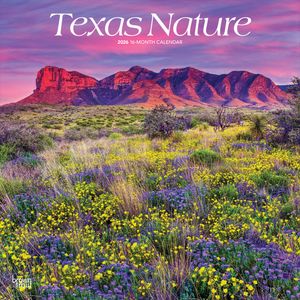 Texas Nature 2026 12 X 24 Inch (Hanging) Monthly Square Wall Calendar Plastic-Free image number 0