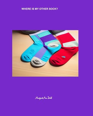Where is my other sock? image number 0