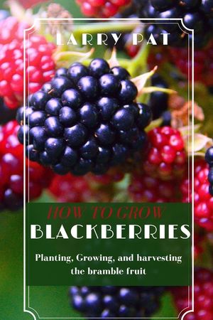 How to Grow Blackberries: Planting, Growing, and harvesting the bramble fruit image number 0