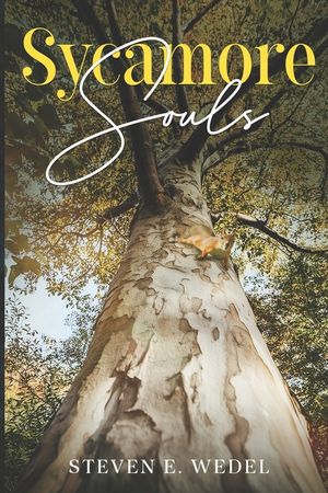 Sycamore Souls image number 0