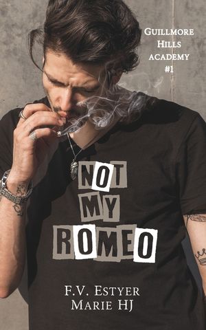 Not My Romeo image number 0