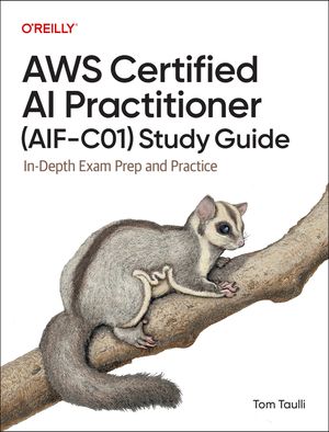 AWS Certified AI Practitioner Study Guide: In-Depth Exam Prep and Practice image number 0