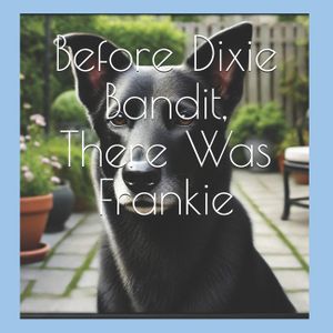 Before Dixie Bandit, There Was Frankie: The Adventures of Morgan and Max image number 0