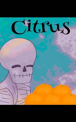 Citrus image number 0