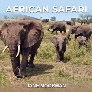 African Safari image number 0