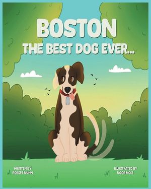 Boston image number 0