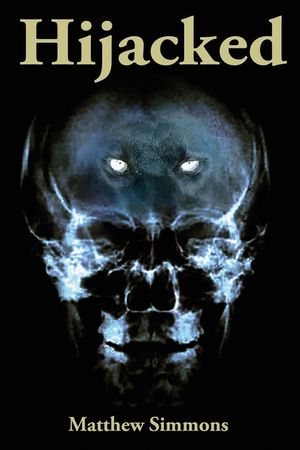 Hijacked: The world is Hijacked, and many in the body of Christ are Hijacked! image number 0