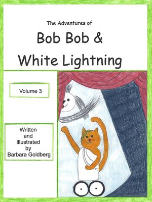 The Adventures of Bob Bob & White Lightning, Volume 3: Stuff! and Choices image number 0