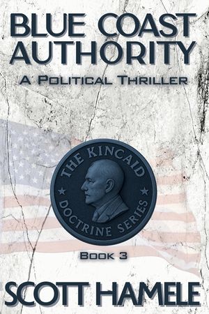 Blue Coast Authority: A Poltical Thriller image number 0