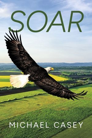 Soar image number 0