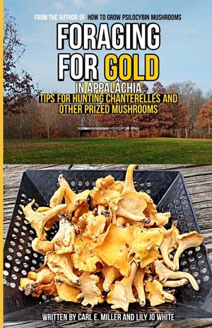 Foraging for Gold in Appalachia: Tips for Hunting Chanterelles and Other Prized Mushrooms image number 0