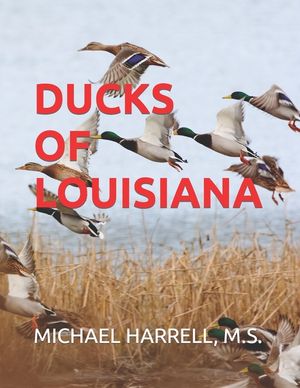 Ducks of Louisiana image number 0