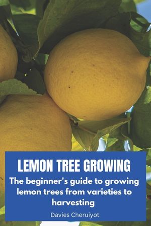 Lemon Tree Growing: The beginner's guide to growing lemon trees from varieties to harvesting image number 0