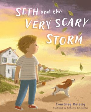 Seth and the Very Scary Storm image number 0