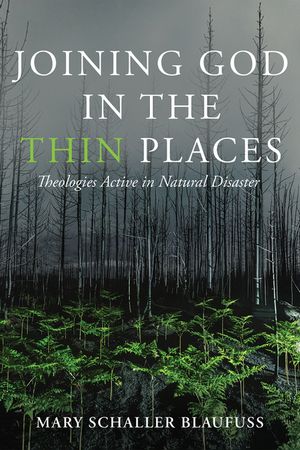 Joining God in the Thin Places image number 0