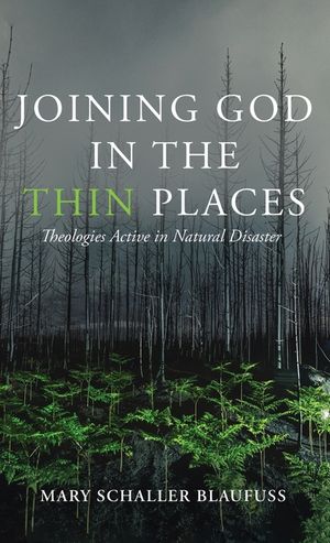 Joining God in the Thin Places: Theologies Active in Natural Disaster image number 0