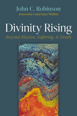 Divinity Rising: Beyond Illusion, Suffering, and Death image number 0