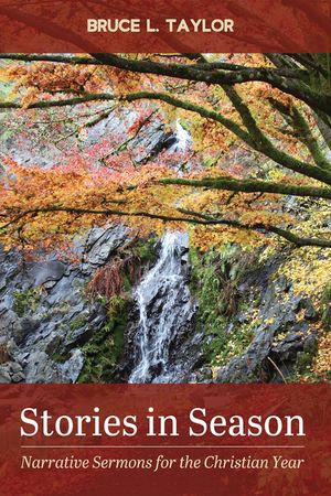 Stories in Season: Narrative Sermons for the Christian Year image number 0