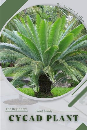 Cycad Plant: Plant Guide image number 0