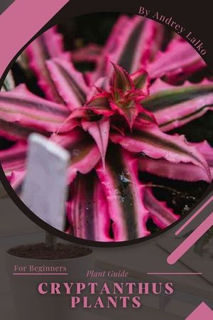 Cryptanthus Plants: Plant Guide image number 0