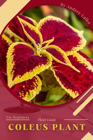 Coleus Plant: Plant Guide image number 0
