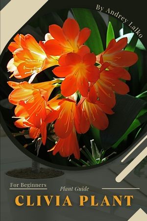 Clivia Plant: Plant Guide image number 0