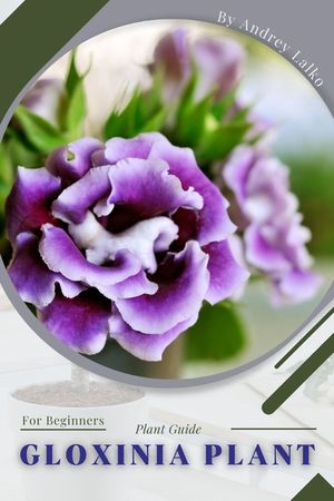 Gloxinia Plant: Plant Guide image number 0