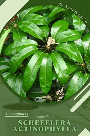 Schefflera actinophylla: Plant Guide image number 0
