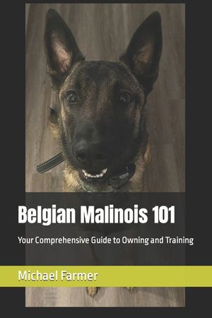 Belgian Malinois 101: Your Comprehensive Guide to Owning and Training image number 0