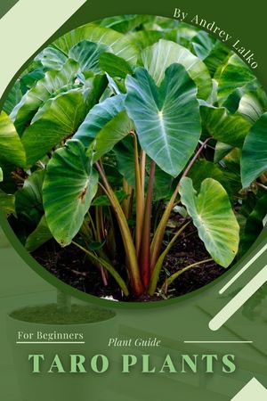 Taro Plants: Plant Guide image number 0