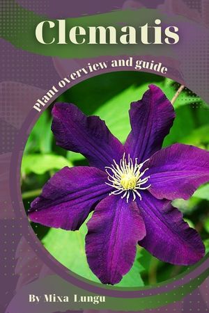 Clematis: Plant overview and guide image number 0