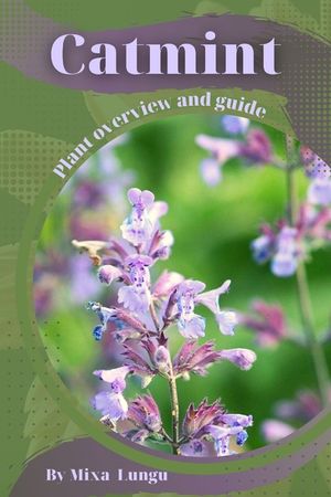Catmint: Plant overview and guide image number 0