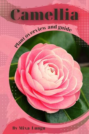 Camellia: Plant overview and guide image number 0