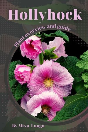 Hollyhock: Plant overview and guide image number 0