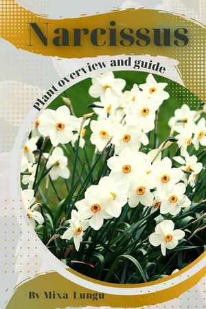 Narcissus: Plant overview and guide image number 0