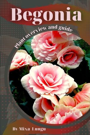 Begonia: Plant overview and guide image number 0