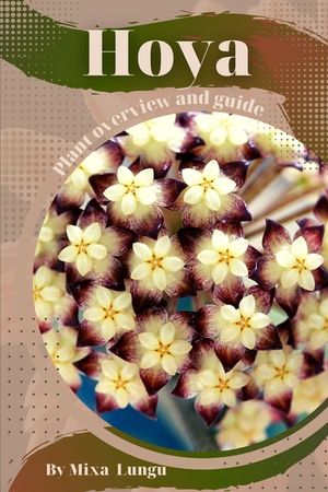 Hoya: Plant overview and guide image number 0