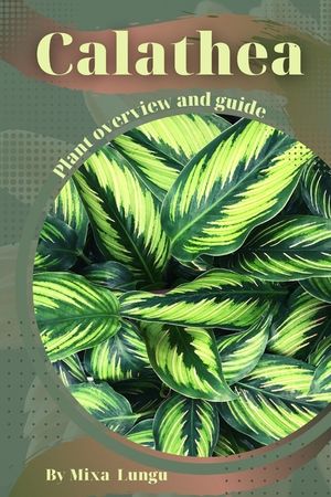 Calathea: Plant overview and guide image number 0