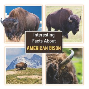 Interesting Facts about American Bison: Learn About the Bison with Picture Book for Children image number 0