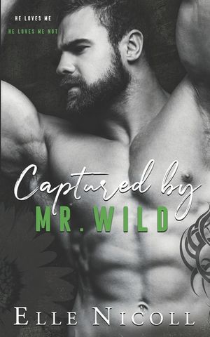 Captured by Mr. Wild image number 0