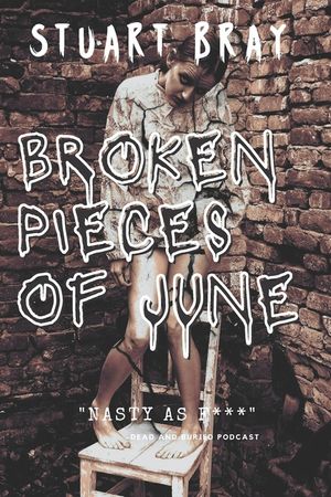 Broken pieces of June image number 0