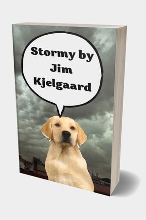 Stormy by Jim Kjelgaard: Winter in the Beaver Flowage was always harsh, with deep snow, bitter winds, and zero temperatures the rule rather tha image number 0