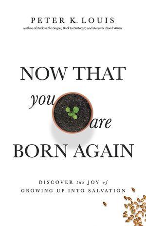 Now That You Are Born Again: Discover the Joy of Growing Up Into Salvation image number 0