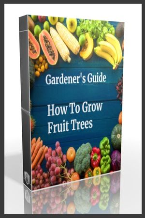 Gardener's Guide How To Grow Fruit Trees: How to Cultivate Fruit Trees, How To Create new plants, Peaches, Citrus, Plums, pears, Apples: how to grow t image number 0
