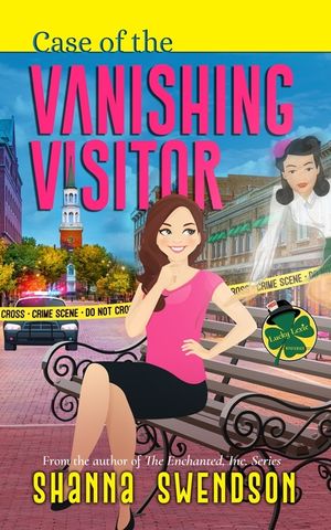 Case of the Vanishing Visitor image number 0