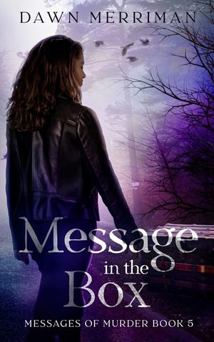 MESSSAGE in the BOX image number 0