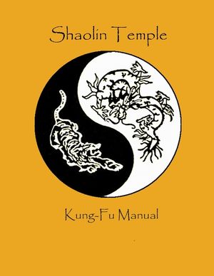 Shaolin Temple Kung Fu Manual image number 0