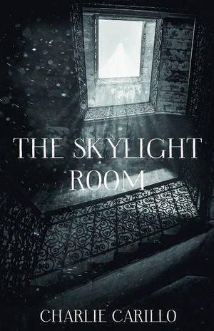 The Skylight Room image number 0