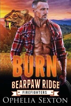 Burn image number 0